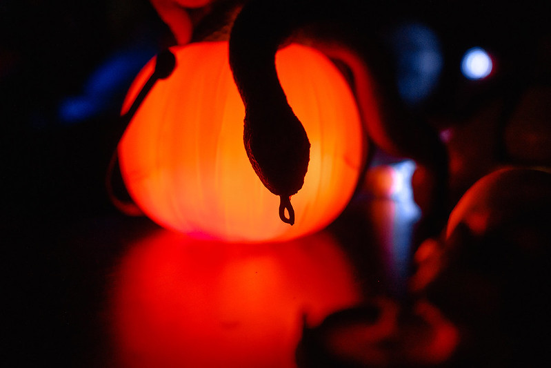 Украшение дома паутиной и летучими мышами к Хэллоуину в Yuzhno-Sakhalinsk